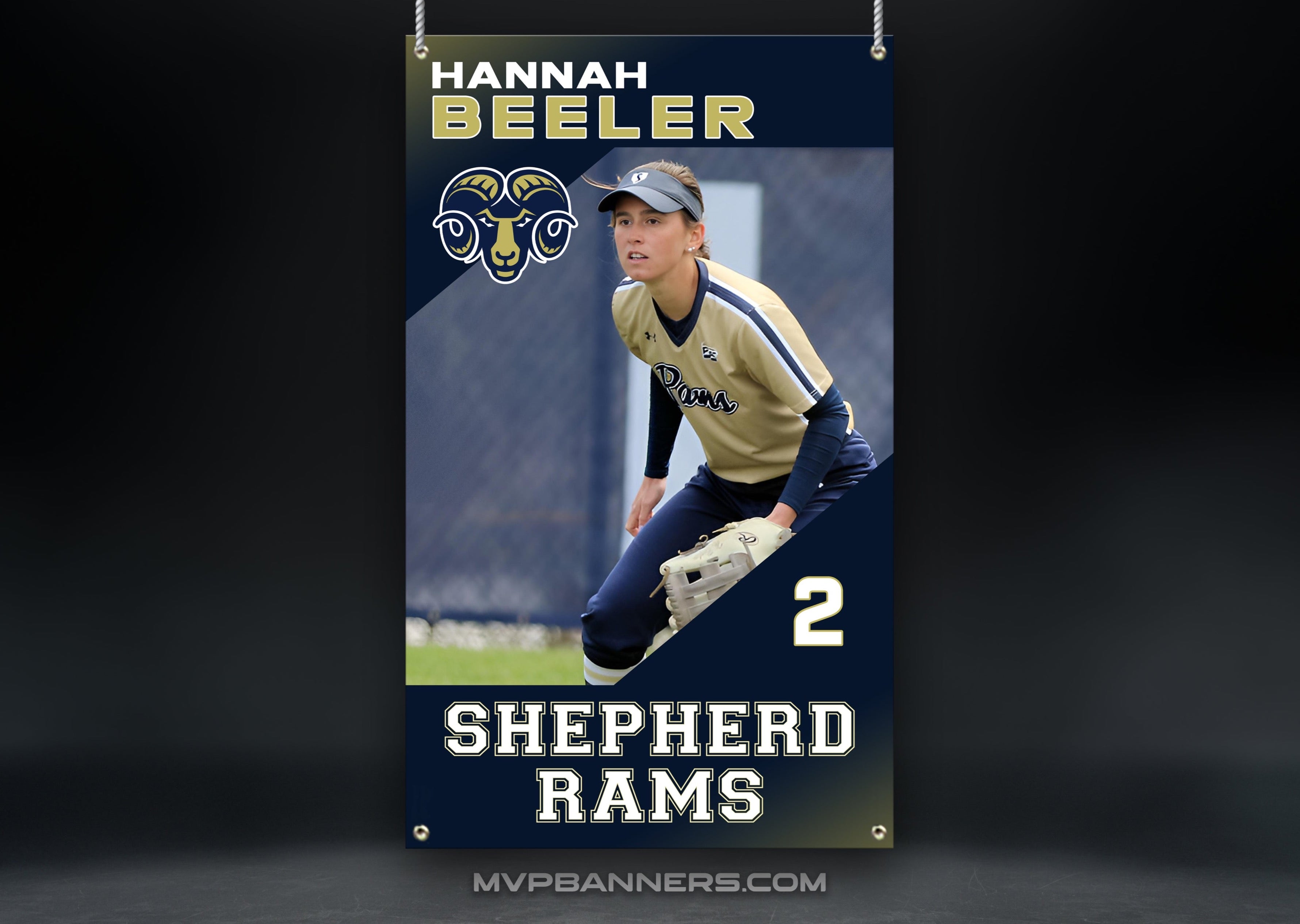 Softball Sports Banner | Senior Night | Apex