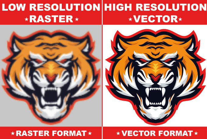 Vector Conversion Service