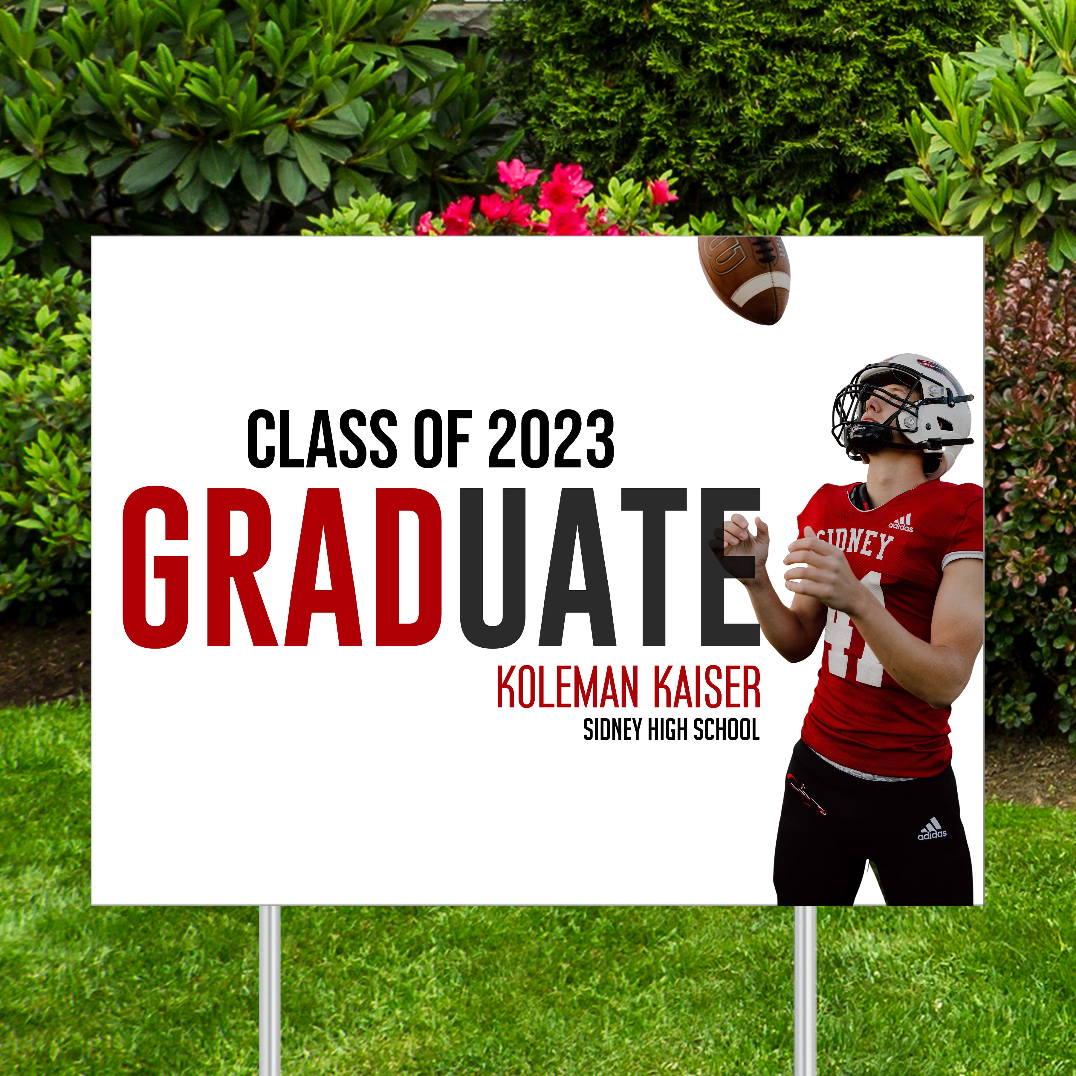 Graduation Yard Sign - What a Year - Graduation