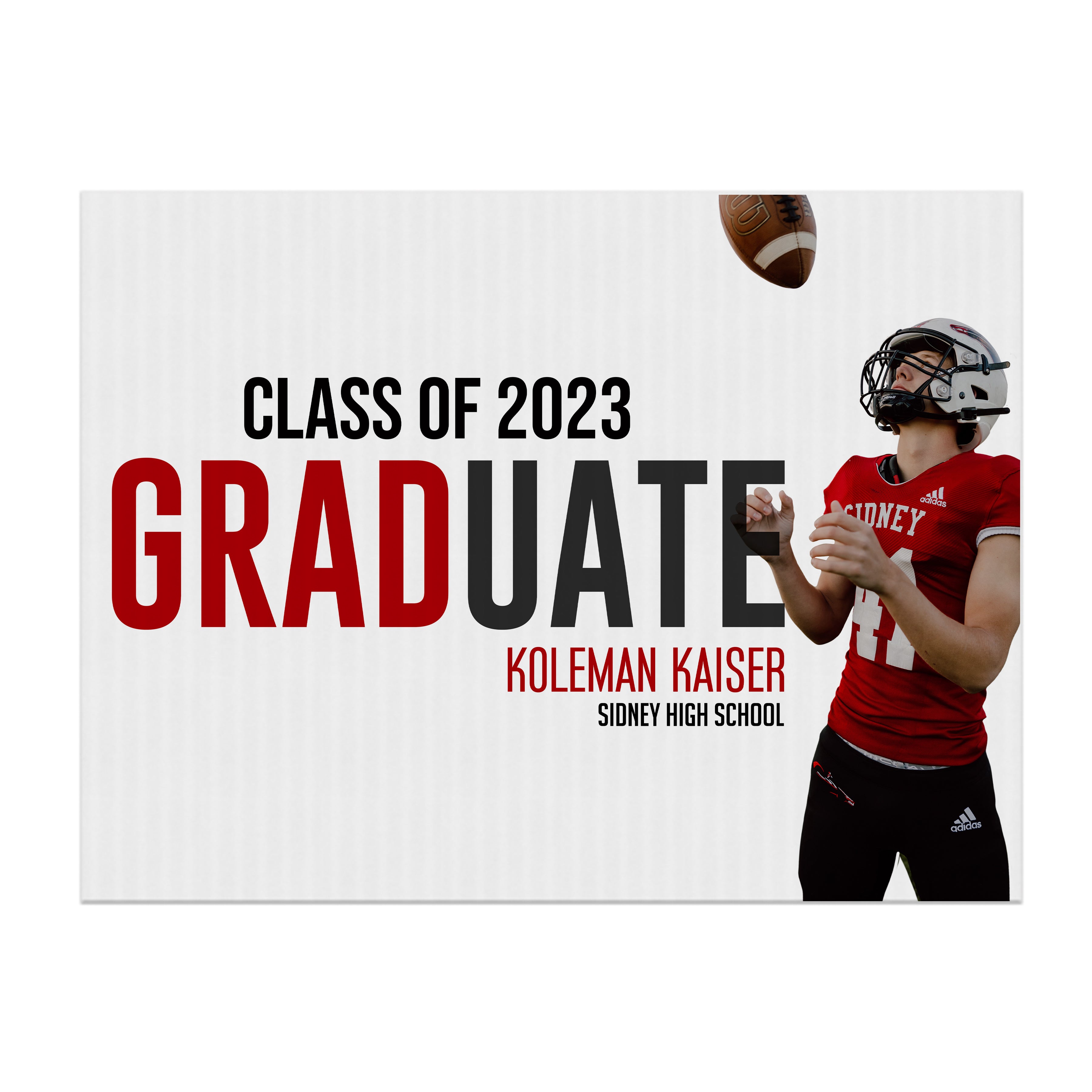 Graduation Yard Sign - What a Year - Graduation